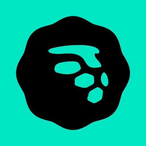 MoneyLion app icon